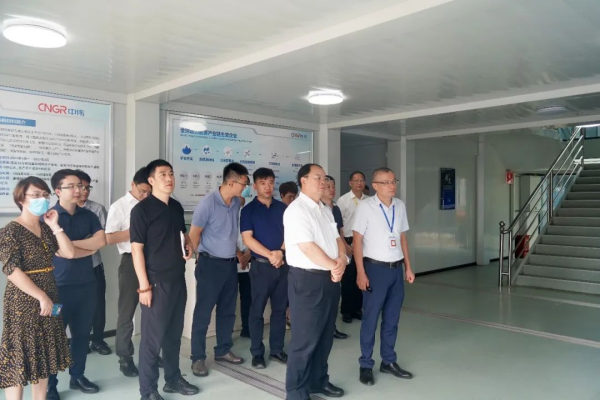 國(guó)家發(fā)展改革委綜合運(yùn)輸研究所所長(zhǎng)、研究員汪鳴率調(diào)研組到中偉欽州產(chǎn)業(yè)基地調(diào)研